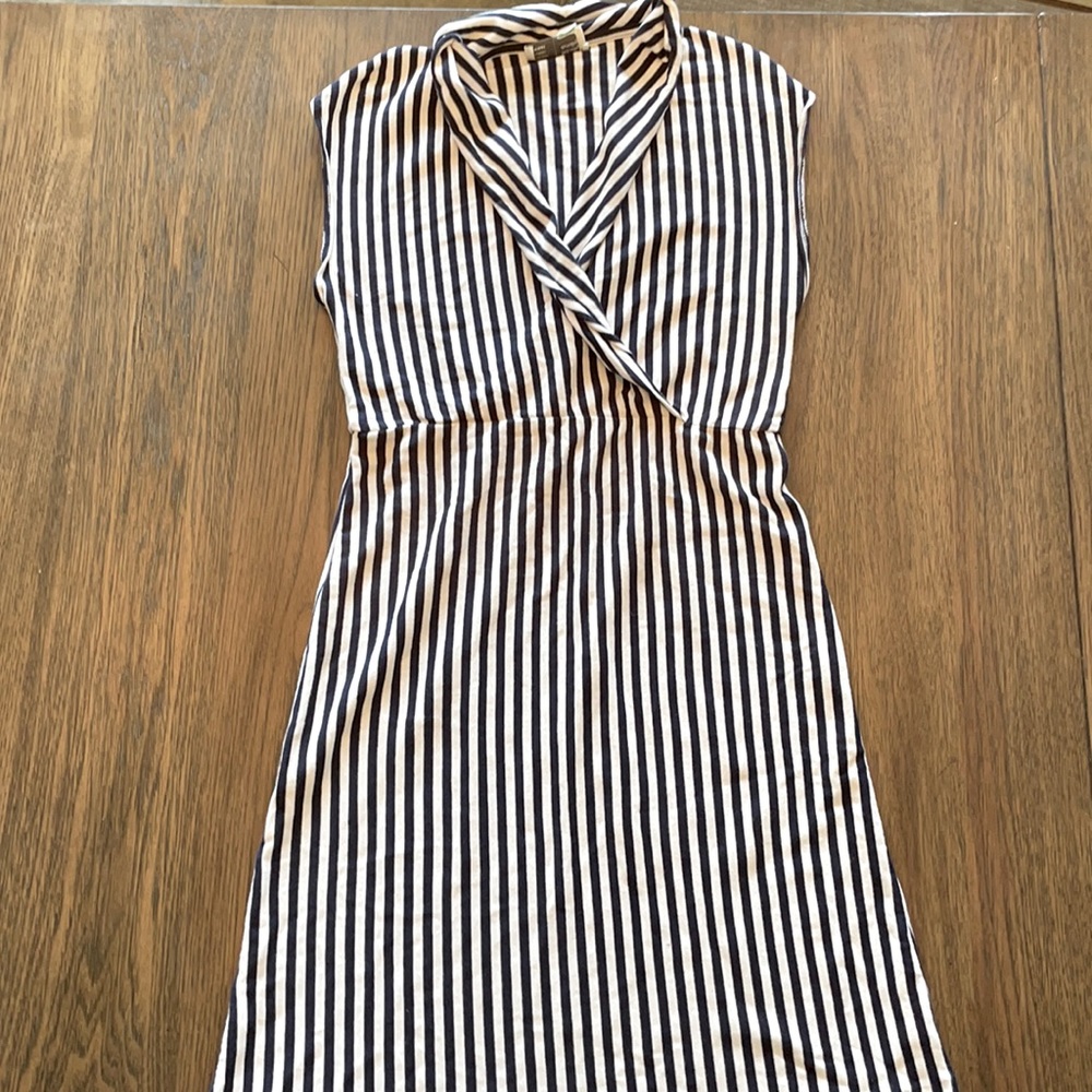 Blue stripe dress